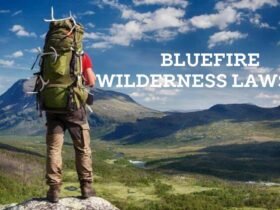 What Sparked the blueFire Wilderness Lawsuit